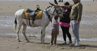 Global Parents Day celebrations