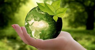 world environment day