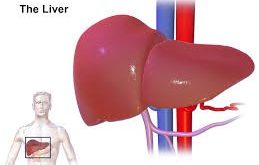 world hepatitis day theme 2020