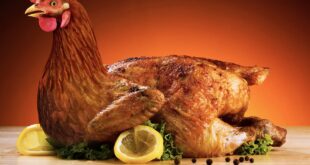 National Fried Chicken Day