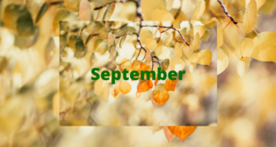 September Holidays