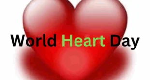world heart day written on a heart photo